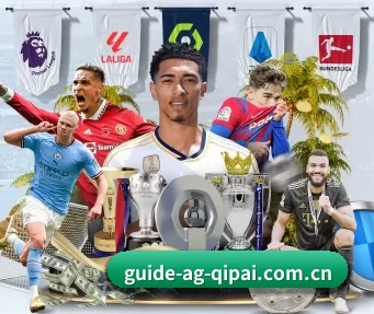 ag棋牌娱乐 APP 界面