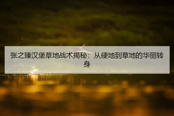 张之臻汉堡草地战术揭秘：从硬地到草地的华丽转身