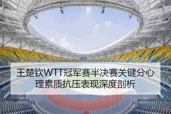 王楚钦WTT冠军赛半决赛关键分心理素质抗压表现深度剖析