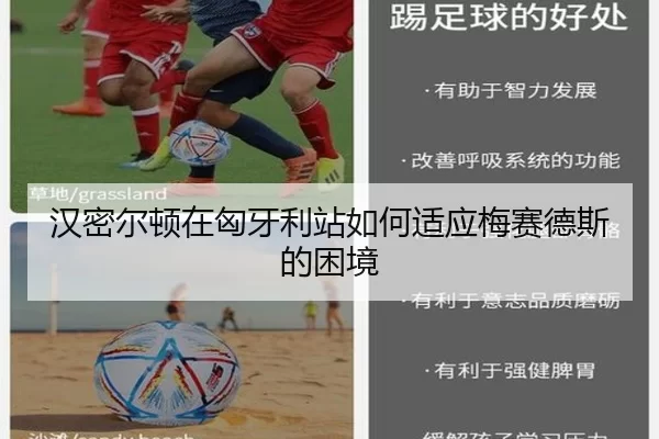 汉密尔顿在匈牙利站如何适应梅赛德斯的困境