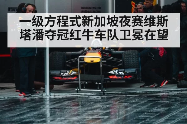 Max Verstappen Red Bull