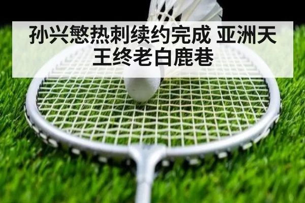 孙兴慜热刺续约完成 亚洲天王终老白鹿巷